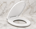 Picture for category TOILET ACCESSORIES